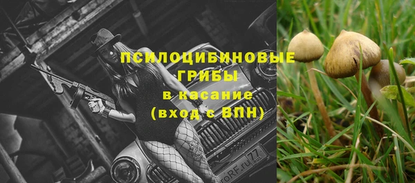 винт Алексин