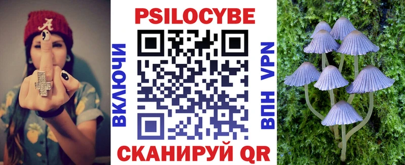 Галлюциногенные грибы MAGIC MUSHROOMS  как найти наркотики  Макушино 